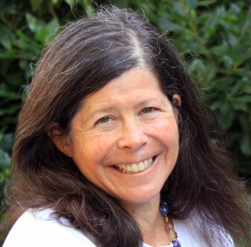Joanne Silberner Joanne Silberner